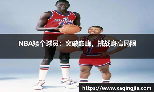 NBA矮个球员：突破巅峰，挑战身高局限