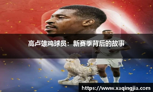 1xBET(国际)Signup