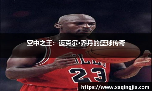 空中之王：迈克尔·乔丹的篮球传奇