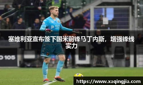 塞维利亚宣布签下国米前锋马丁内斯，增强锋线实力