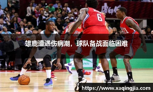雄鹿遭遇伤病潮，球队备战面临困难