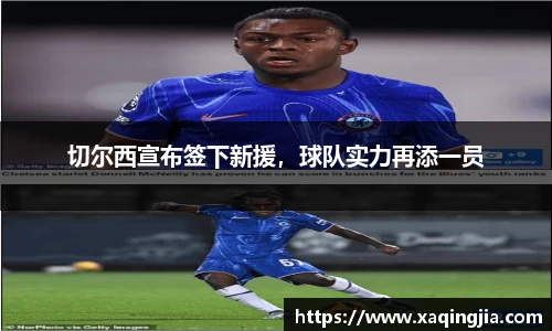 切尔西宣布签下新援，球队实力再添一员
