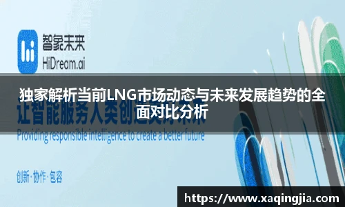 独家解析当前LNG市场动态与未来发展趋势的全面对比分析
